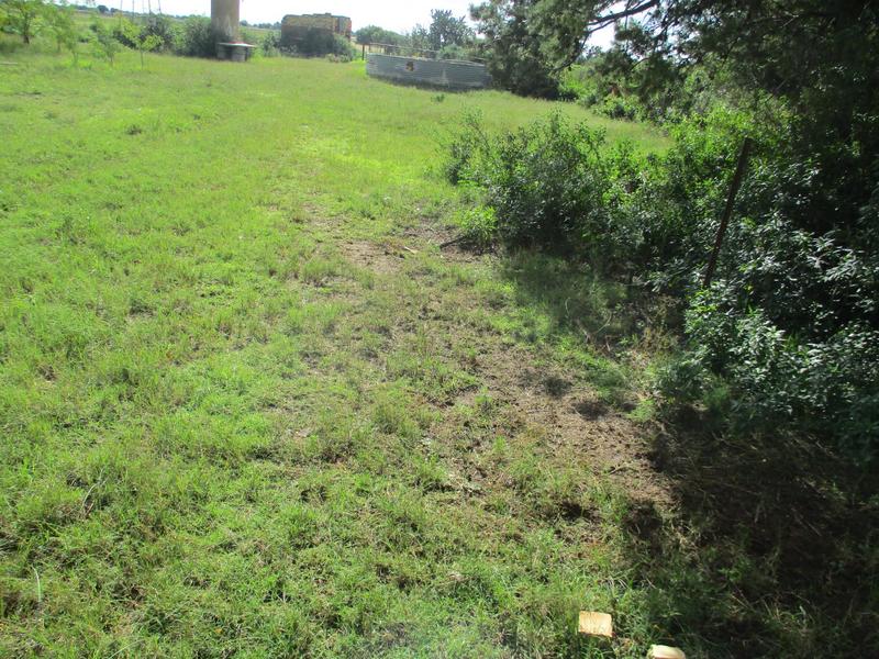 4 Bedroom Property for Sale in Bainsvlei Free State